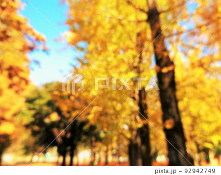 背景用ボカシ素材・イチョウ 92942749