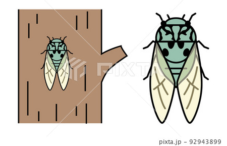 ミンミンゼミのイラスト素材。 ミンミンゼミのイラスト素材。 92943899
