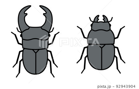 オオクワガタのイラスト素材。 オオクワガタのイラスト素材。 92943904