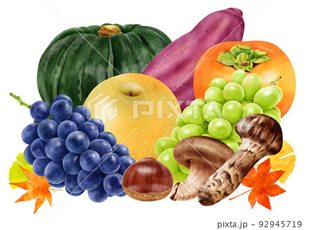 水彩イラスト  秋の味覚セット 水彩イラスト  秋の味覚セット 92945719