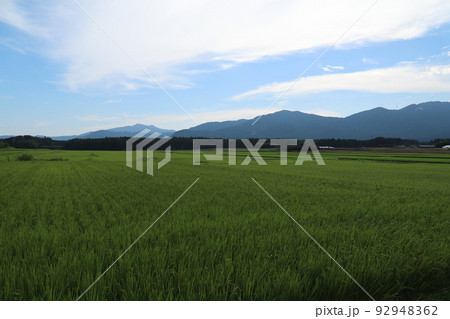 筑波山と田園風景 筑波山と田園風景 92948362