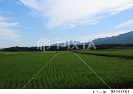 筑波山と田園風景 筑波山と田園風景 92948363
