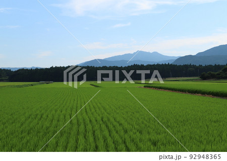 筑波山と田園風景 筑波山と田園風景 92948365