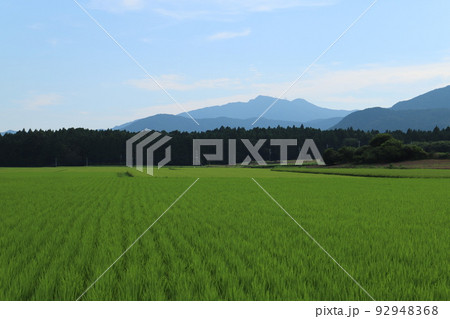 筑波山と田園風景 92948368
