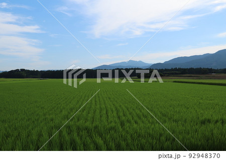 筑波山と田園風景 92948370