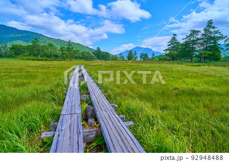 夏の尾瀬 山ノ鼻付近から尾瀬ヶ原、燧ヶ岳方面眺望 92948488