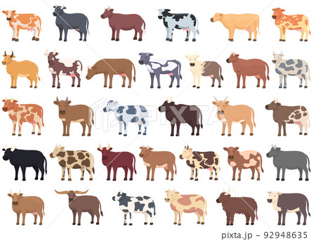 Breeding cows icons set cartoon vector. Dairy milk. Eat farm 92948635