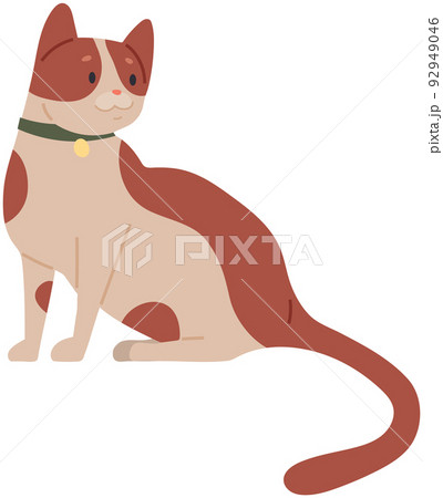 Portrait of cute resting kitten. Adorable kitty in collar. Sitting cat, domestic animal, pet 92949046