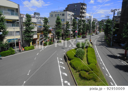 8月　世田谷1101上町のイチョウ並木･世田谷通り 92950009