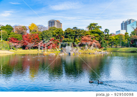 東京都 紅葉の小石川後楽園　～大泉水～ 92950098