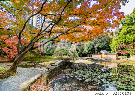 東京都 紅葉の小石川後楽園　～大泉水～ 92950103