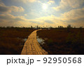 Swamp Yelnya in autumn landscape. Wild mire of Belarus.  92950568