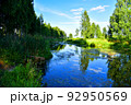 River in the wild. View of a small river in the forest among trees and green bushes with grass. 92950569