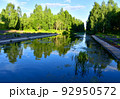 River in the wild. View of a small river in the forest  92950572