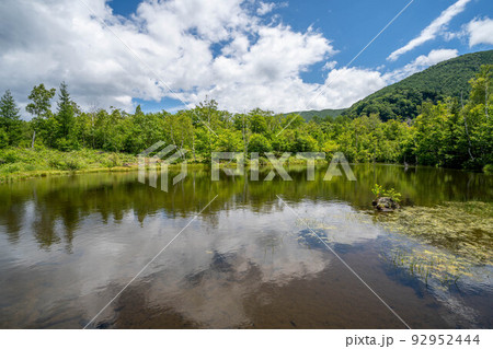 まいめの池 まいめの池 92952444