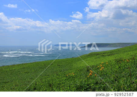 北海道 浜中町 霧多布岬のお花畑と青い海 7月 北海道 浜中町 霧多布岬のお花畑と青い海 7月 92952587