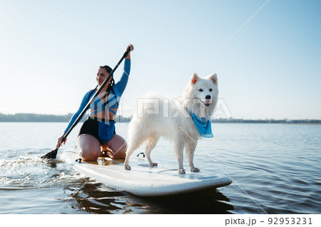 Snow-White Japanese Spitz Dog Standing on Sup Board, Woman Paddleboarding with Her Pet on the City Lake 92953231