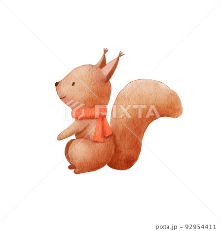 Watercolor Baby squirrel character with winter scarf. Hand drawn cute woodland animal. Cartoon illustration isolated on white. 92954411