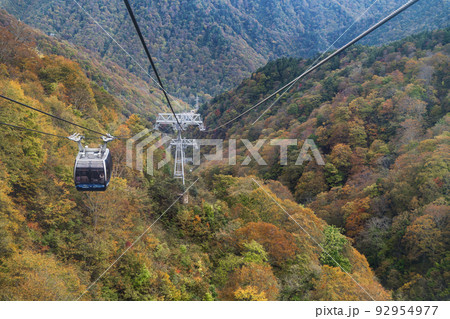 秋の谷川岳ロープウェイ【群馬県・利根郡・みなかみ町】 92954977