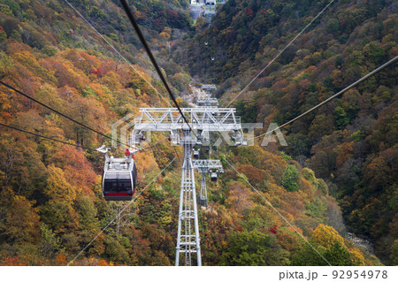 秋の谷川岳ロープウェイ【群馬県・利根郡・みなかみ町】 92954978