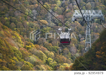 秋の谷川岳ロープウェイ【群馬県・利根郡・みなかみ町】 92954979