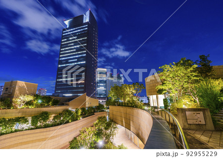 なんばパークス　パークスガーデン屋上からの夜景 92955229