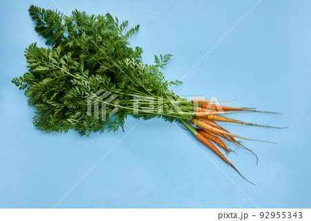 Bunch of first fresh carrots with tops on blue background. Bunch of first fresh carrots with tops on blue background. 92955343