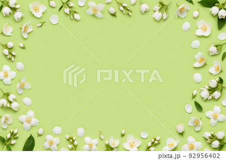 Floral frame border of Jasminum Grandiflorum Royal Jasmine flowers, leaves buds and petals  92956402