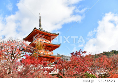 秋の清水寺 秋の清水寺 92956523
