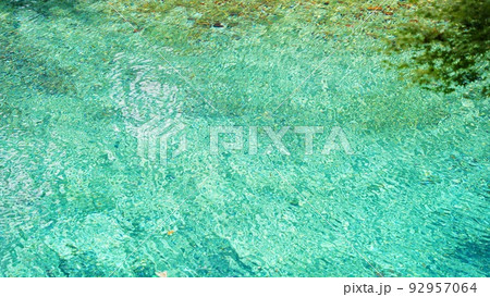 [山口県]別府弁天池 92957064