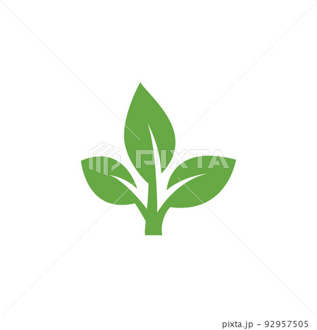 Flat leaves icons. Leaf vector illustration Flat leaves icons. Leaf vector illustration 92957505