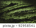 抹茶イメージ 92958541
