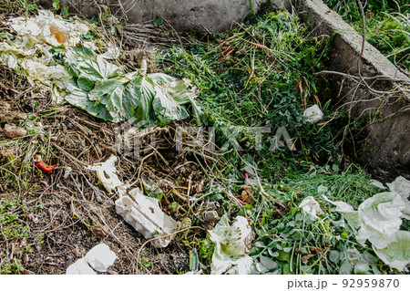 Compost pit for food waste. Concept of organic fertilizers for garden. Compost pit for food waste. Concept of organic fertilizers for garden. 92959870