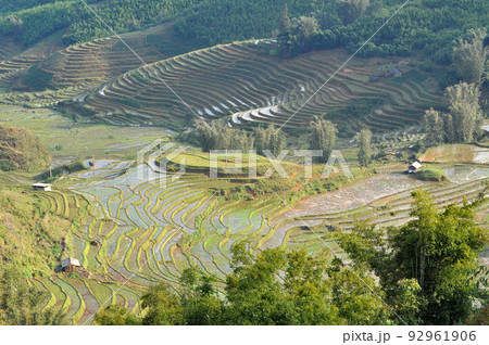 Terraced rice field in Northern Vietnam Terraced rice field in Northern Vietnam 92961906