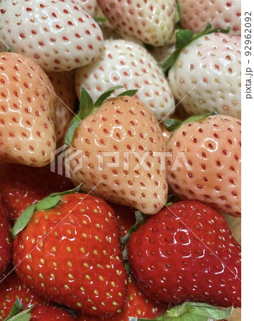 白、ピンク、赤の3種類のカラフルないちごの写真素材 [92962092] - PIXTA