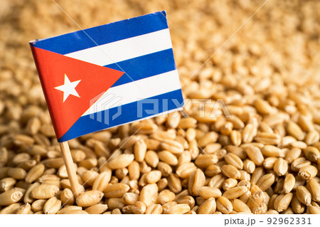 Grains wheat with Cuba flag, trade export and economy concept. 92962331