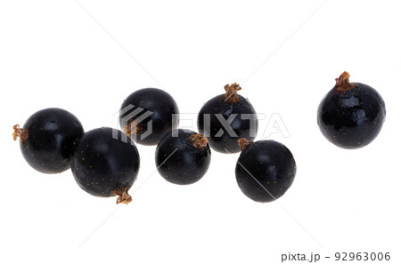 blackcurrant berries isolated 92963006