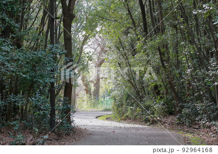 公園のサイクリングコース（大野極楽寺公園　愛知県 一宮） 92964168