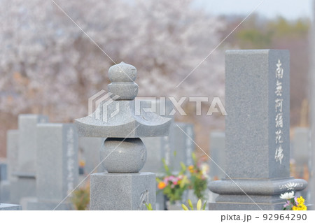 桜の時期の霊園のお墓 92964290