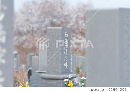 桜の時期の霊園のお墓 92964291