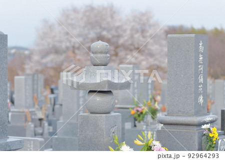 桜の時期の霊園のお墓 92964293