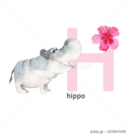 Letter H, hippo with hibiscus, cute kids colorful animals ABC alphabet. Watercolor illustration isolated on white background. Letter H, hippo with hibiscus, cute kids colorful animals ABC alphabet. Watercolor illustration isolated on white background. 92964506