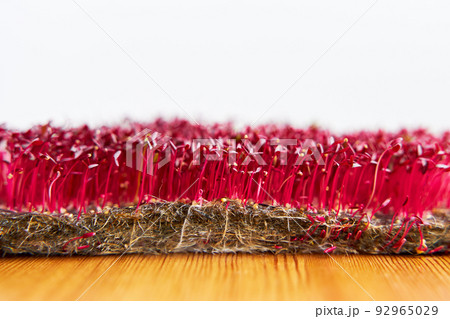 Red color microgreen amaranth growed on the fabric on wooden background 92965029