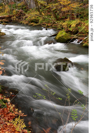 国の天然記念物、特別名勝として指定を受けた 景勝地（奥入瀬渓流　青森県 十和田市） 92965736