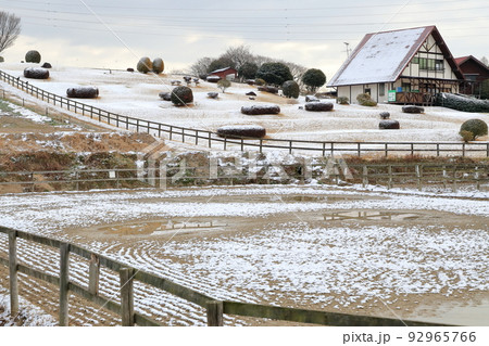 うっすらと積もった白銀の牧場（愛知牧場　愛知県 日進市） 92965766