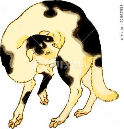 毛づくろいをする犬 92967938