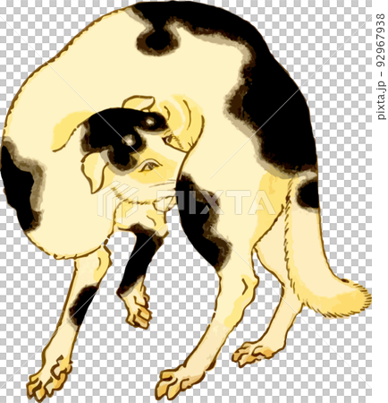 毛づくろいをする犬 92967938