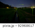 ホタルの乱舞 92968617