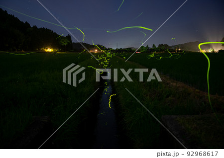 ホタルの乱舞 92968617