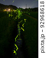 ホタルの乱舞2 92968618